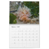 Nudibranchs & Zee Slugs Kalender (Feb 2027)
