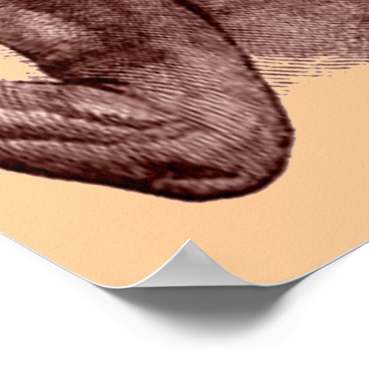 Nuer Chief -1850-Ethiopische Afrikaan in de strijd Poster (Hoek)