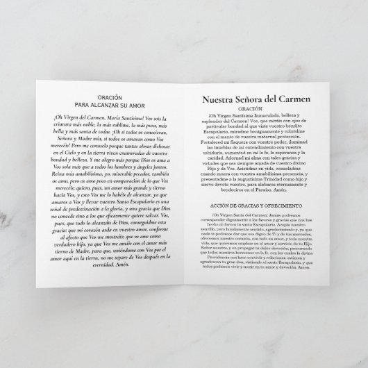 NUESTRA SEÑORA DEL CARMEN KAART (Binnen)