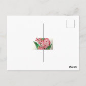 NUESTRA SEÑORA DEL CARMEN KAART (Achterkant)