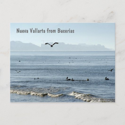Nueva Vallarta uit Bucerias Briefkaart (Voorkant)