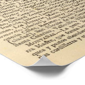 Nuevo Leon, Mexico Poster (Hoek)