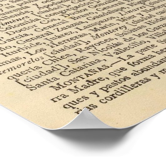 Nuevo Leon, Mexico Poster (Hoek)