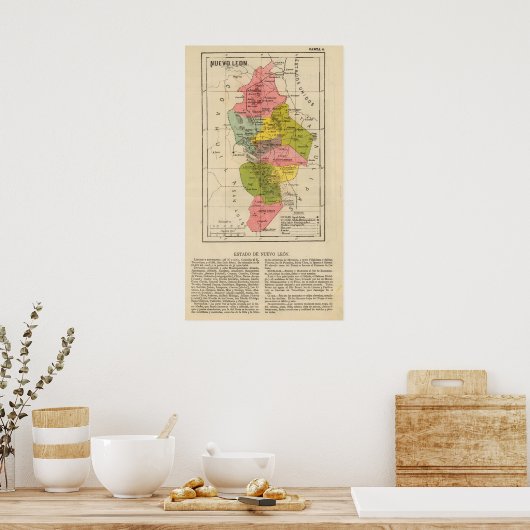 Nuevo Leon, Mexico Poster (Keuken)