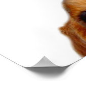 "Nuff zei: Poster (Hoek)