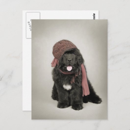 Nufie Briefkaart (Voorkant / Achterkant)