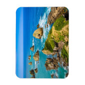 Nugget Point-eilandjes, Nieuw-Zeeland Magneet (Verticaal)