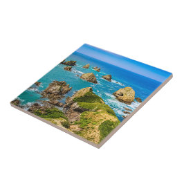 Nugget Point-eilandjes, Nieuw-Zeeland Tegeltje