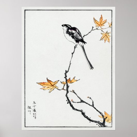 Numata Kashu Japans langstststaartbetje en mantel Poster (Voorkant)