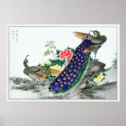 Numata Kashu Peacock en Peony Poster (Voorkant)