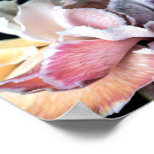 Numbers 6:24 Lord bless you Poster (Hoek)