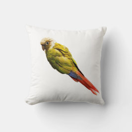 Numchoke is geen vogel kussen