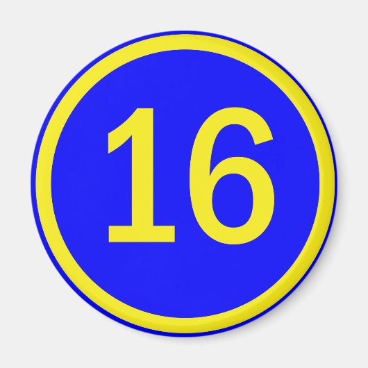 Nummer 16 in een cirkel magneet (Voorkant)