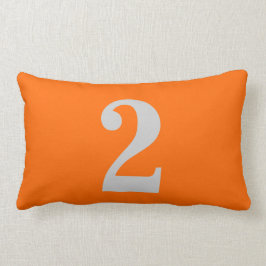 Nummer 2 lumbaal kussen