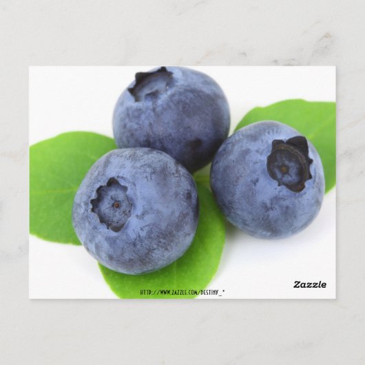 Nummer gasttabel briefkaart (Achterkant)