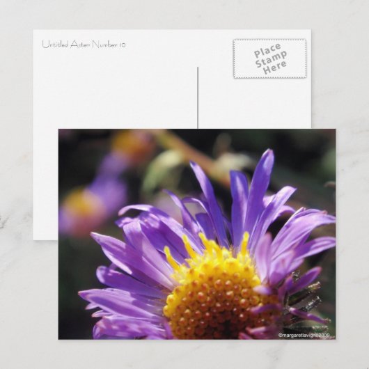 Nummer zonder titel 10 briefkaart (Voorkant / Achterkant)