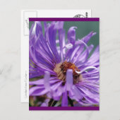 Nummer Zonder titel 11 Briefkaart (Voorkant / Achterkant)