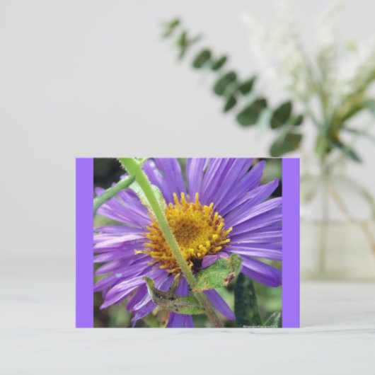 Nummer zonder titel 1 briefkaart (Staand voorkant)