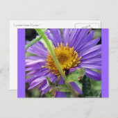 Nummer zonder titel 1 briefkaart (Voorkant / Achterkant)