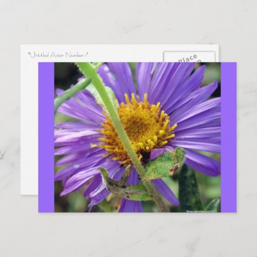 Nummer zonder titel 1 briefkaart (Voorkant / Achterkant)