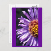 Nummer zonder titel 4 briefkaart (Voorkant / Achterkant)