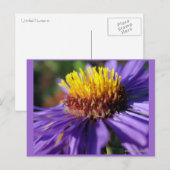 Nummer zonder titel 6 briefkaart (Voorkant / Achterkant)