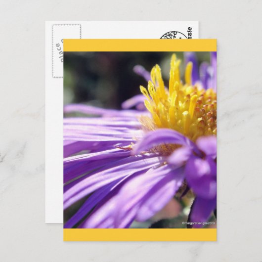 Nummer zonder titel 9 briefkaart (Voorkant / Achterkant)