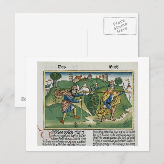 Nummers 13 23 De druiven van Eschol uit de "Nure" Briefkaart (Voorkant / Achterkant)