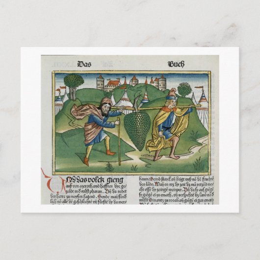 Nummers 13 23 De druiven van Eschol uit de "Nure" Briefkaart (Voorkant)