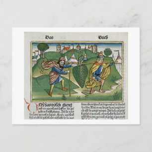 Nummers 13 23 De druiven van Eschol uit de "Nure" Briefkaart