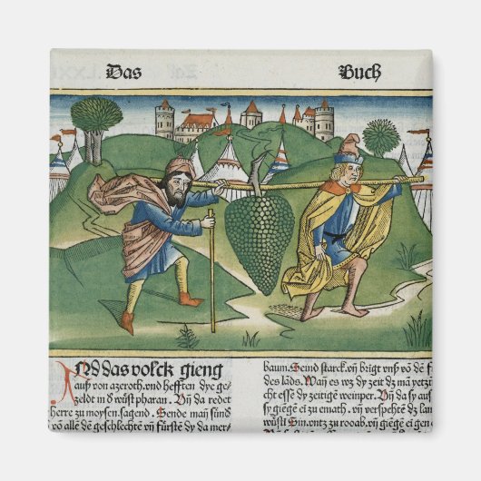 Nummers 13 23 De druiven van Eschol uit de "Nure" Magneet (Voorkant)