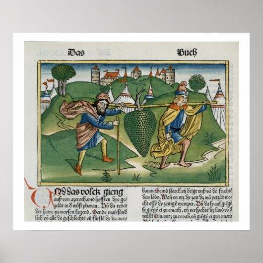 Nummers 13 23 De druiven van Eschol uit de "Nure" Poster (Voorkant)