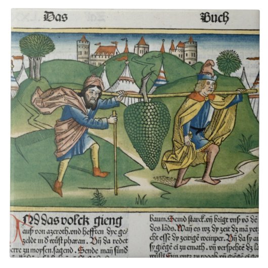 Nummers 13 23 De druiven van Eschol uit de "Nure" Tegeltje (Voorkant)