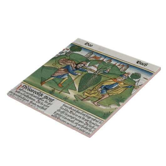 Nummers 13 23 De druiven van Eschol uit de "Nure" Tegeltje (Zijkant)