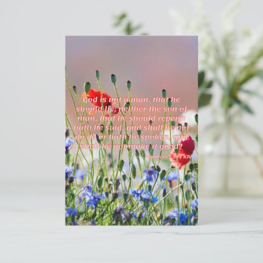 Nummers 23:19 KJV Bijbel Verse Pic Flat Greeting Kaart (Staand voorkant)