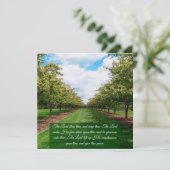 Nummers 6:24-26 Vlakke Kaart (Staand voorkant)