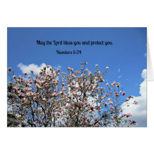 Nummers 6:24 mei de Heer zegde je....