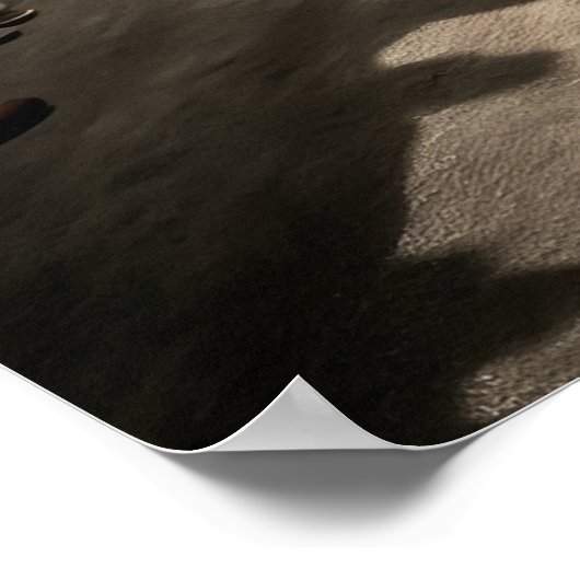 Nun Jumping Motorcycle Poster (Hoek)