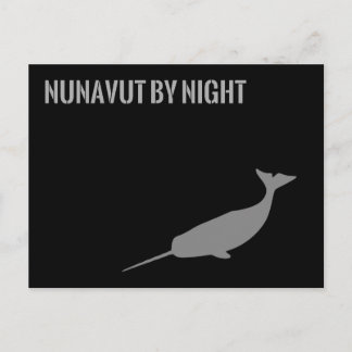 Nunavut bij nacht briefkaart