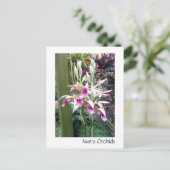 Nun's Orchids Briefkaart (Staand voorkant)