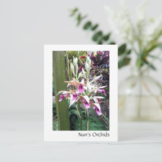 Nun's Orchids Briefkaart (Staand voorkant)