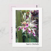 Nun's Orchids Briefkaart (Voorkant / Achterkant)