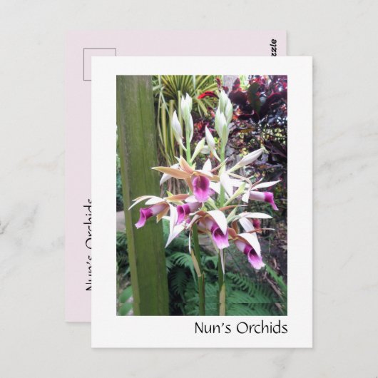 Nun's Orchids Briefkaart (Voorkant / Achterkant)