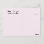 Nun's Orchids Briefkaart (Achterkant)