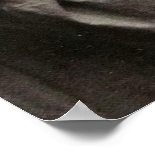 Nuns Roking  foto Poster (Hoek)