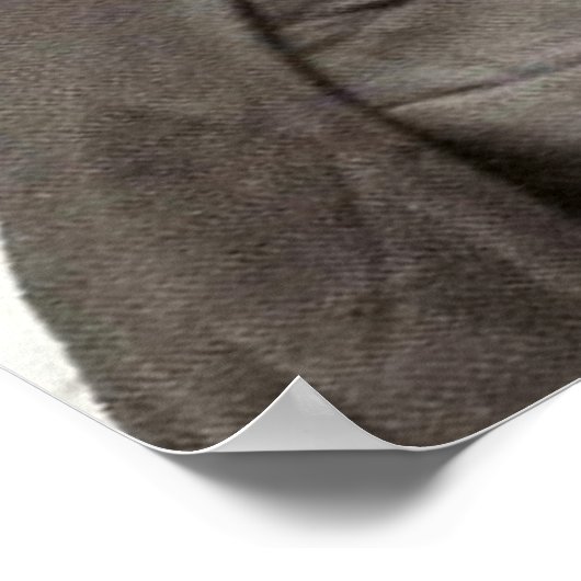 Nuns Vintage roken Foto Poster (Hoek)