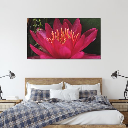 Nuphar Lutea Pink Water Lily Canvas Afdruk (Insitu (Slaapkamer))