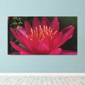 Nuphar Lutea Pink Water Lily Canvas Afdruk (Insitu (Houten vloer))