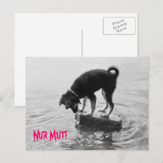 Nur Mut. Briefkaart (Voorkant / Achterkant)