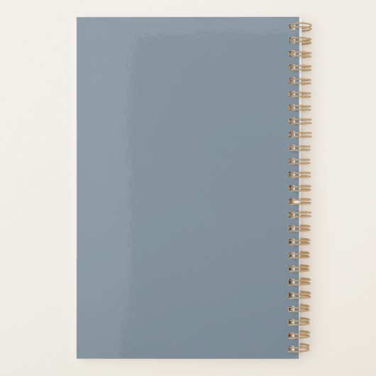 Nurse RN Blue White Medical Caduceus Persoonlijk Planner (Achterkant)